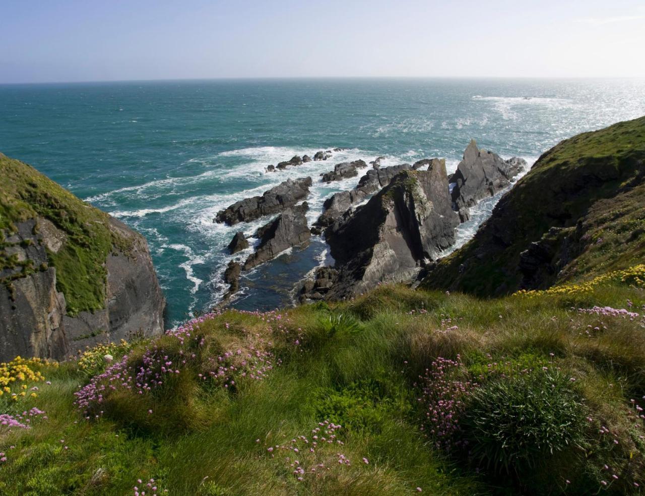 Galley Head Lightkeeper'S Houses Donoure Екстериор снимка